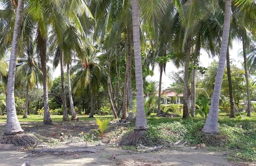 Playa Coyote Apartment | BOOK - MOVE IN - FEEL GOOD! The Holiday Studio right on the Pacific Ocean