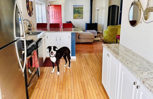 Salida House | Book NOW for Holidays and Skiing Monarch! Multi-family, pets allowed, HOT TUB!