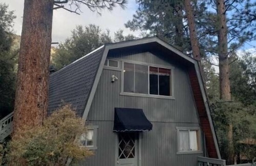 Pine Mountain Club Cabin | Book now for the holidays! We have Starlink and a cozy wood stove.