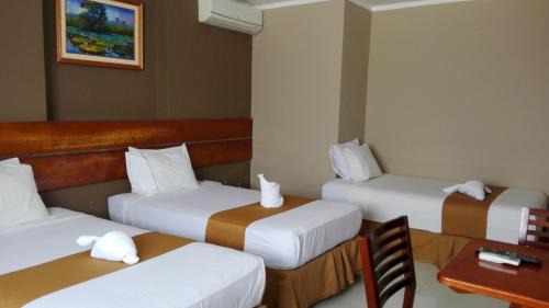 Iquitos Hotel | Bora Hotel