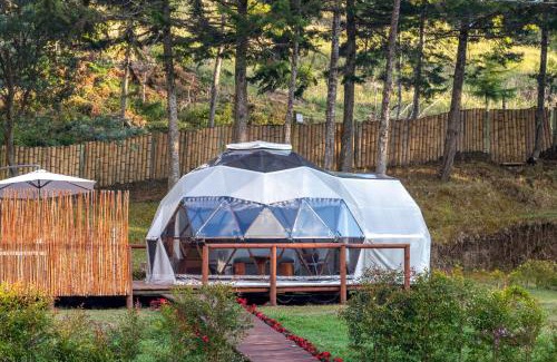 Sonson Other | Boreal Refugio Natural