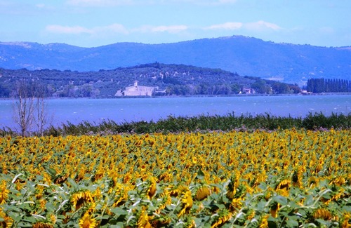 Magione House | Borgo Cenaioli- Place of Silence- 1 Bedroom Apartment 3 Adults