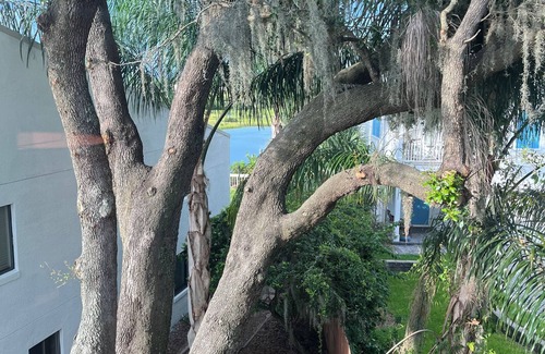 St. Augustine Condo | Born Free Villa 3-bedroom condo in superb St. Augustine