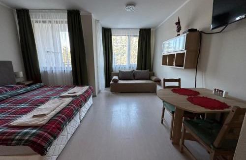 Borovets Apartment | Borovets Gardens Funky Fresh Studio by Joro
