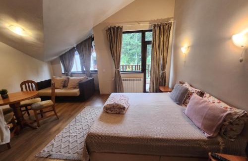 Borovets Apartment | Borovets Violet by Ski slopes