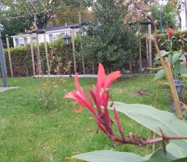 Oisterwijk Ski Chalet | Bospareltjes Luxe chalets Alleen voor recreatie