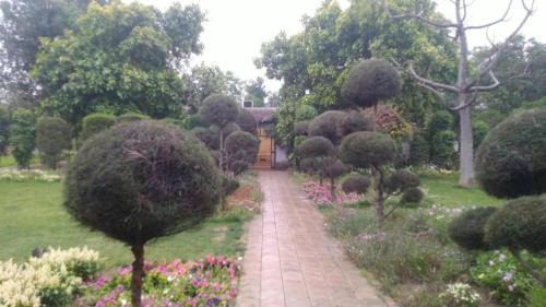 Jacobpura Hotel | Botanix Nature Resort
