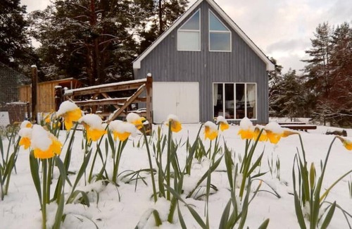 Nethy Bridge House | Bothy near the woods