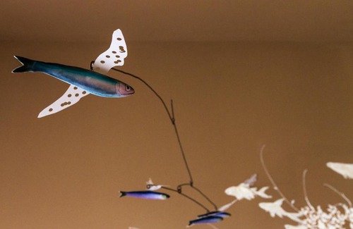 Udine Apartment | Boutique Apartment Casa Angela