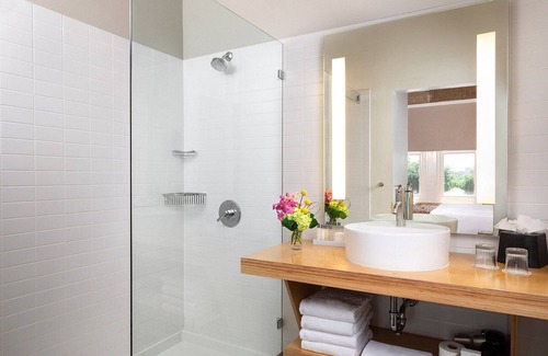 Downtown Dallas Hotel | Boutique Lodging Experience Near Dallas City Center! Pet-friendly