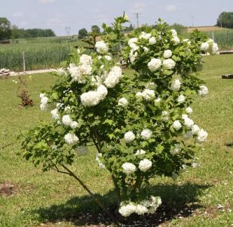 Savignac-sur-Leyze Apartment | Bouye Gite Accommodation