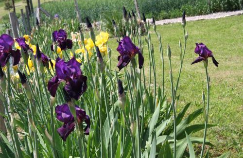 Savignac-sur-Leyze Apartment | Bouye Gite Accommodation