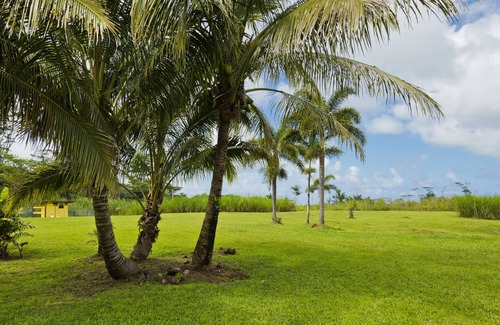 Kapoho House | Bowman's Big Island Guest House, Lava Tree State Park, Night Market, Beach