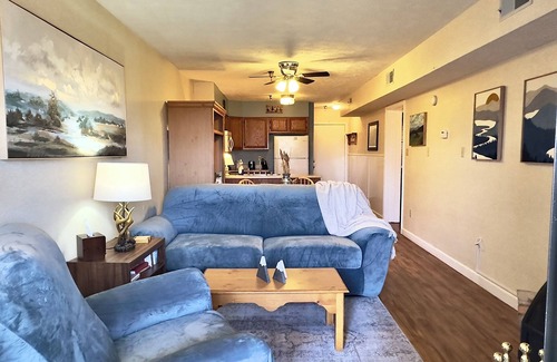 Davis Condo | BR127- Recently Renovated! Charming and Affordable! A/C! Outdoor Pool!
