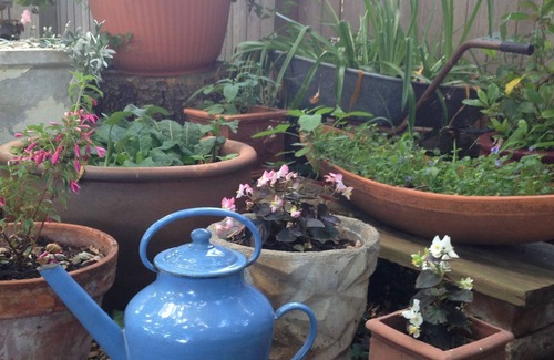 Millthorpe Apartment | Braeside Studio - Country Garden Accommodation
