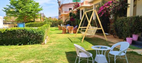 Pushkar Hotel | Brahma Heritage-Pool with Nature