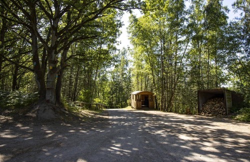 Maaseik House | Brand new Hobbit House
