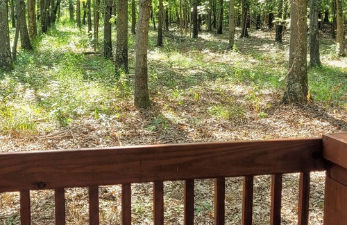 Bluford Cabin | Brand New Cabin conveniently located near Hwy 15, I-64, and I-57
