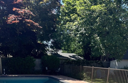 Pipes Cove House | Brand New Heated Pool Walk to Town!