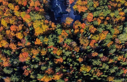 Baileys Harbor Cabin | Brand New, Large Family-Friendly Forest Sanctuary on 9 acres