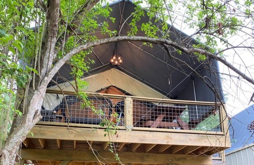 Seguin Cabin | Brand new waterfront Cabin with many amenities: Pool, hot tub & kayaking. - SG5