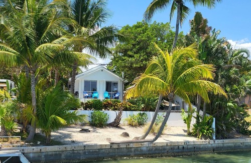 Jupiter Cottage | Brando on blue water palm tree paradise.