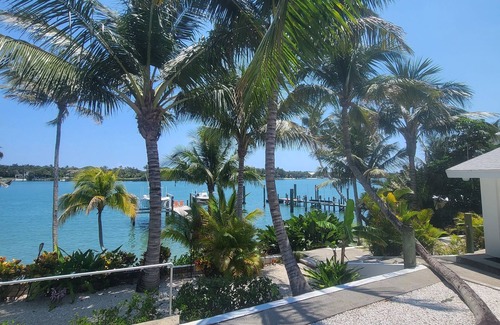 Jupiter Cottage | Brando on blue water palm tree paradise.