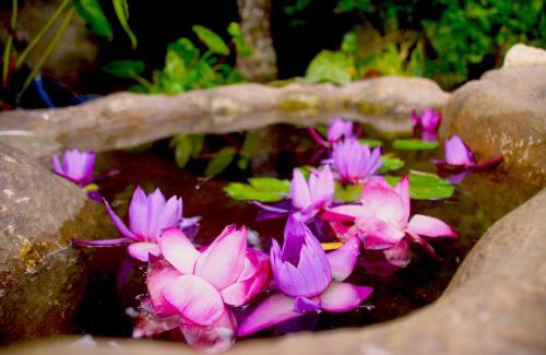Thalaramba Villa | Brave Villa