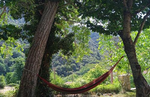 Kato Zachlorou Apartment | Breakfast & Snacks, 2bedrooms 2bathrooms House