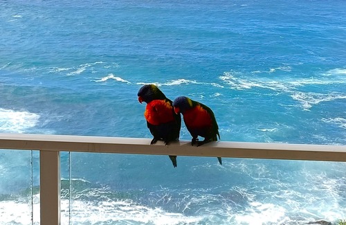 Bondi Apartment | Breathtaking Ocean Views - 2 bedroom apartment with parking