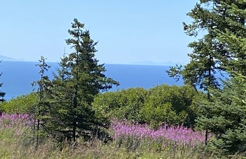 Homer Cabin | Breathtaking View and Tranquility: A Rustic -Lovely Homer Experience