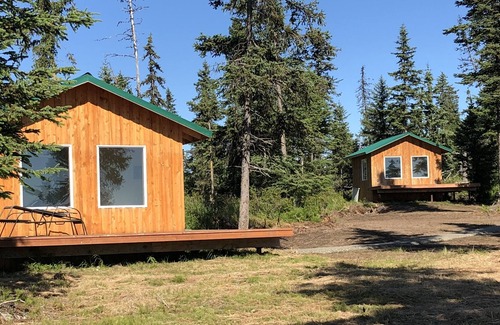 Homer Cabin | Breathtaking View and Tranquility: A Rustic -Lovely Homer Experience