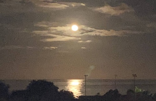 Prunete Apartment | BREATHTAKING VIEW HEATED POOL, FEET IN THE WATER