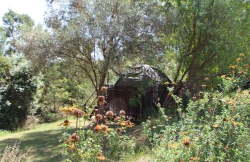 Scheepersrus Other | Breede Bush Camp