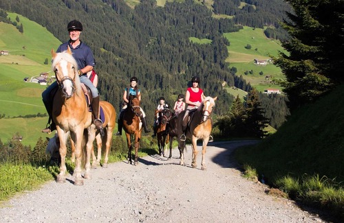 Muhlthal House | »Breitegg« family combination - Hotel Haflingerhof