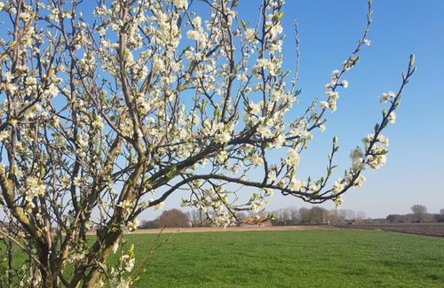 Vortum-Mullem Other | Brembroeken, De Houtendonck