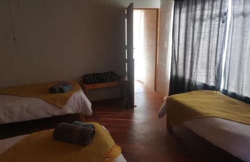 Karas House | Bremen