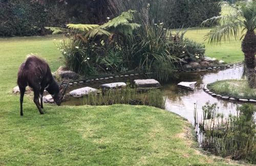Lake Brenton Resort | Brenton Lake Holiday Cottages