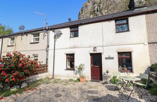 Rhiwbryfdir House | Bridgeway House