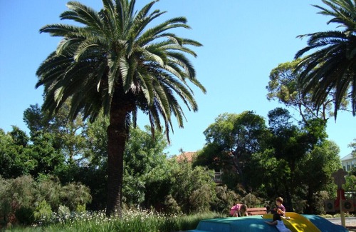 St. Kilda East Apartment | Bright 2BR Apartment Beside Green Meadows Park