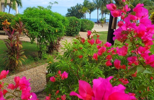 Placencia Villa | Bright 2BR Villa with Shared Pool Ground Floor