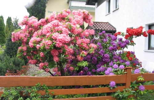 Bad Griesbach im Rottal Apartment | Bright apartment (25 sqm) for 2 people with private terrace