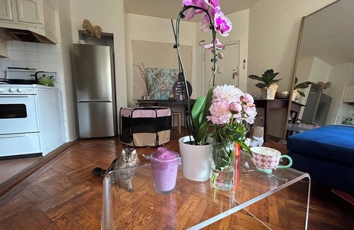 Brooklyn Apartment | BRIGHT, BOHO ARTIST 2 BED LOCATED 1 BLOCK FROM PROSPECT PARK & EXPRESS TRAIN