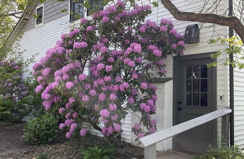 New Hope Cottage | Bright, Cozy, Designer Cottage