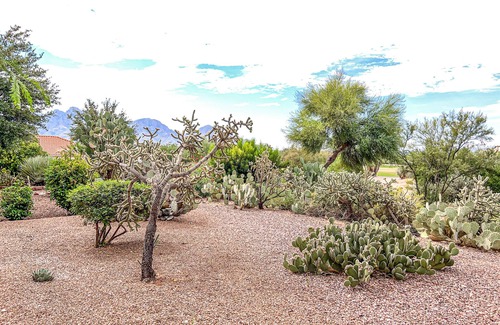 Rancho Vistoso House | Bright home in Sun City with large patio & on-site golf & swimming!