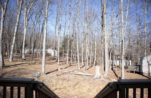 Hickory Hills Cabin | Bright & quiet cabin near mountain attractions