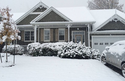 Collingwood House | Bright rennovated 5 Bedroom home backing onto Golf Course