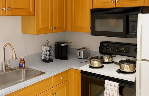 Downtown Cleveland Apartment | Bright Urban Retreat-Steps to CSU & Theater District, minutes to progressive.