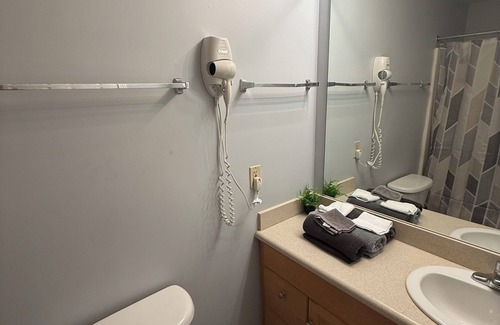 Downtown Cleveland Apartment | Bright Urban Retreat-Steps to CSU & Theater District, minutes to progressive.