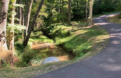 Fairview House | Bring your pet and come play in our Mtns. Only Minutes from Asheville.